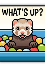 Northwest Stickers NW Stickers Whats up Ferret