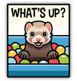 Northwest Stickers NW Stickers Whats up Ferret