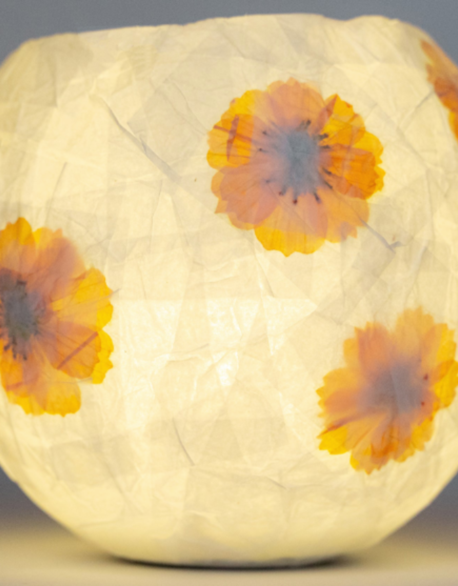 Kikkerland DIY Flower Paper Lamp