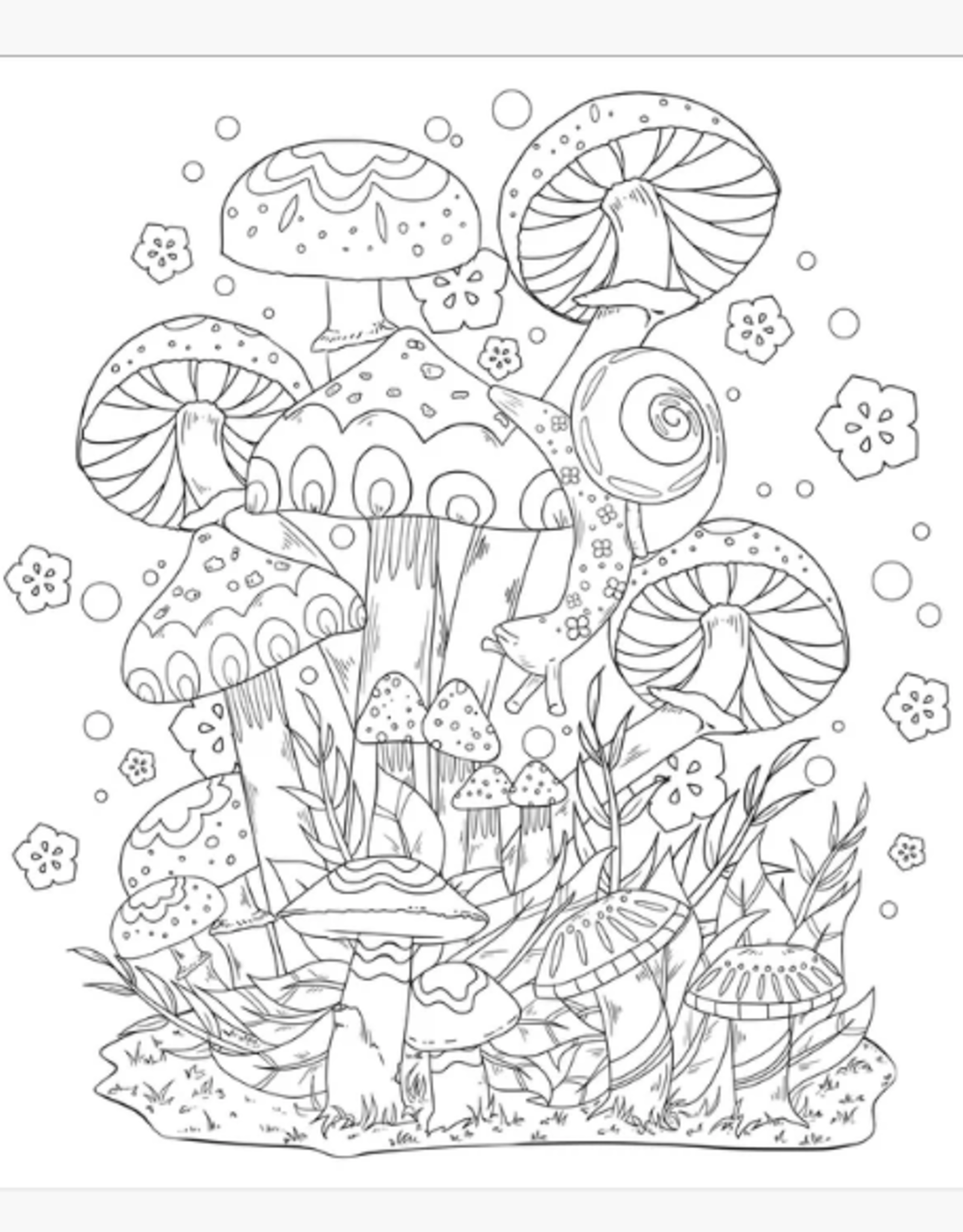 Peter Pauper Press Colour Book Mushrooms