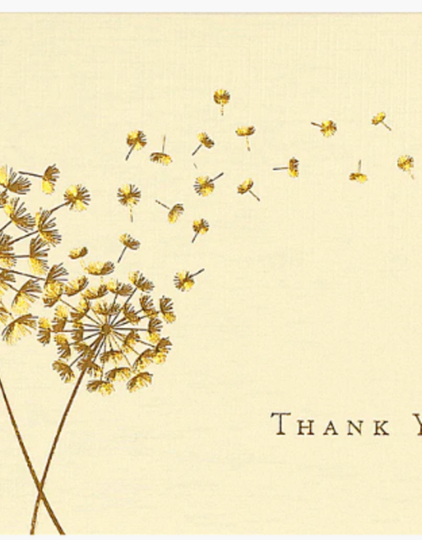 Peter Pauper Press Note Cards -Dandelion Wishes TY