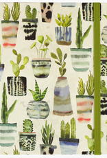 Peter Pauper Press Succulents Mid  Journal