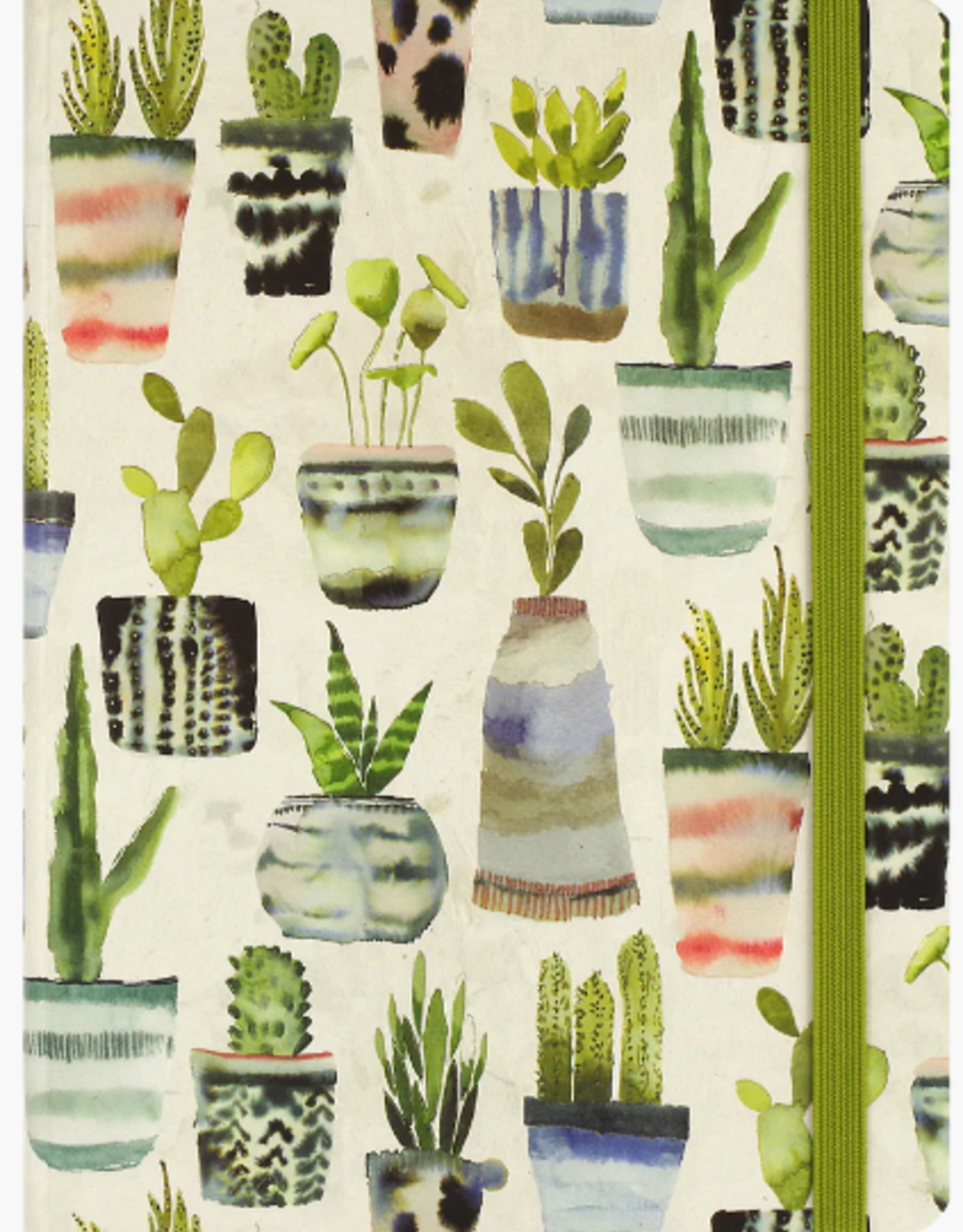 Peter Pauper Press Succulents Mid  Journal
