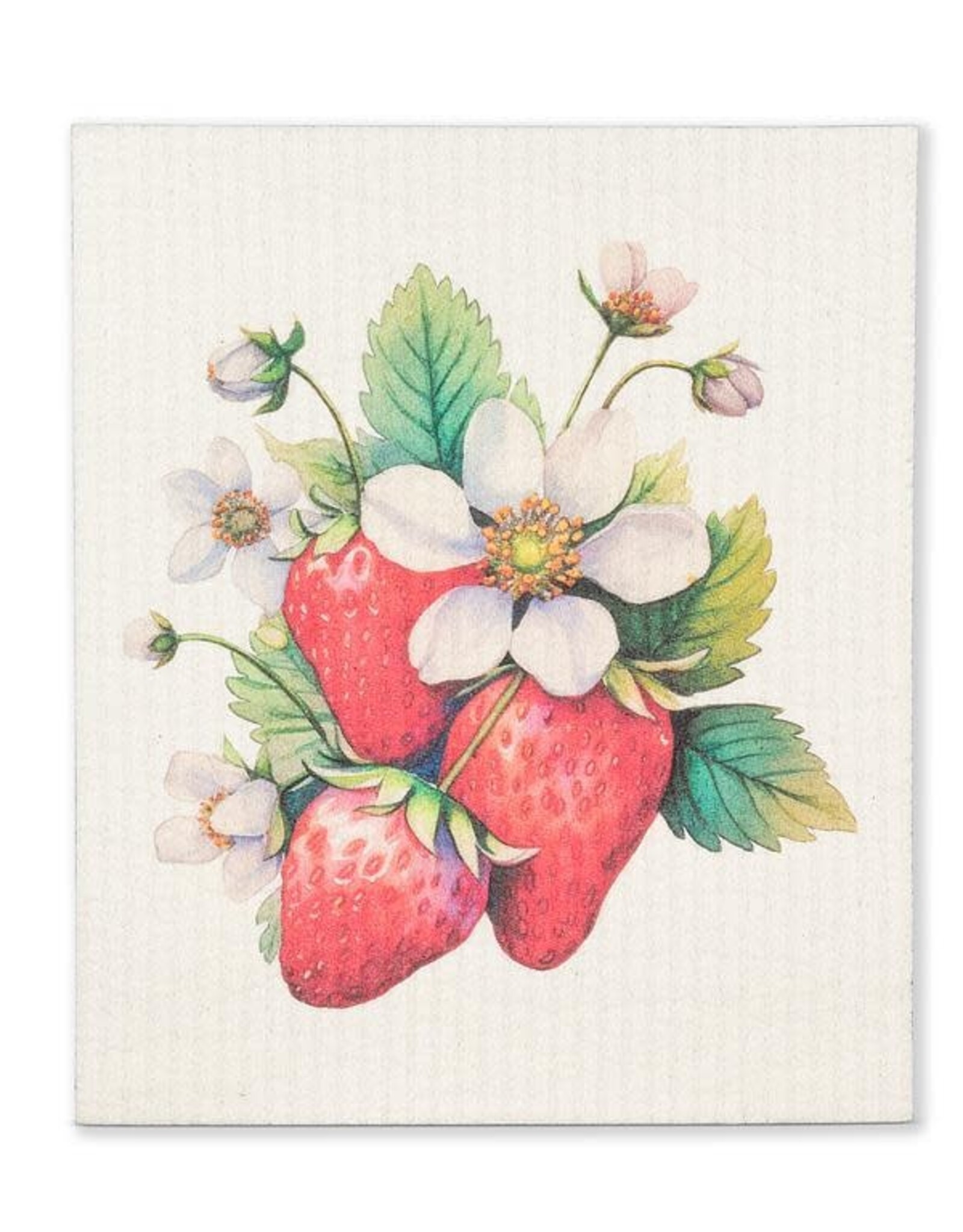 Abbott Swedish Dishcloth
