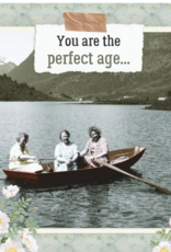 the rest of us The Perfect Age