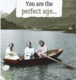 the rest of us The Perfect Age