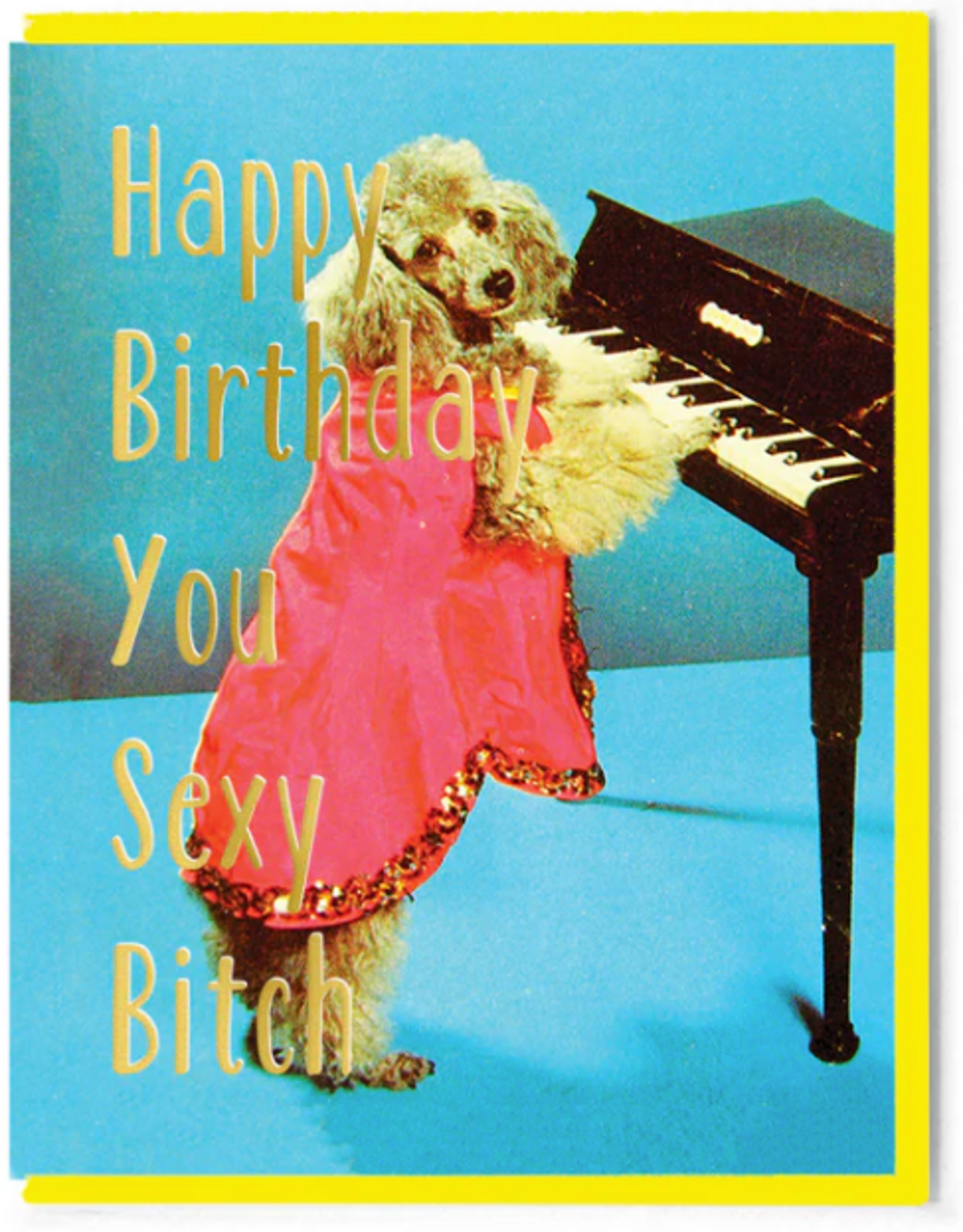 Smitten Kitten HB Sexy Bitch