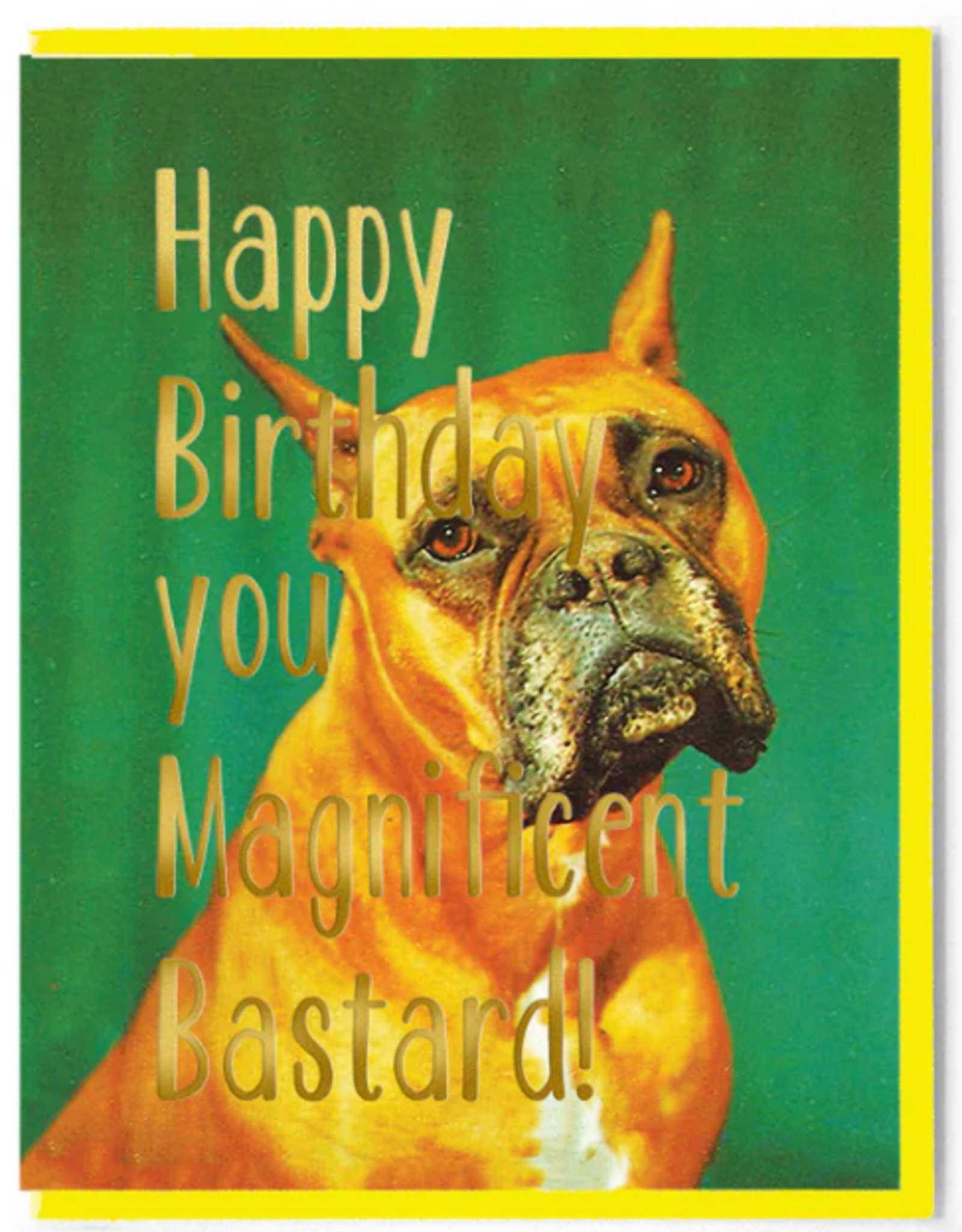 Smitten Kitten HB Magnificent Bastard