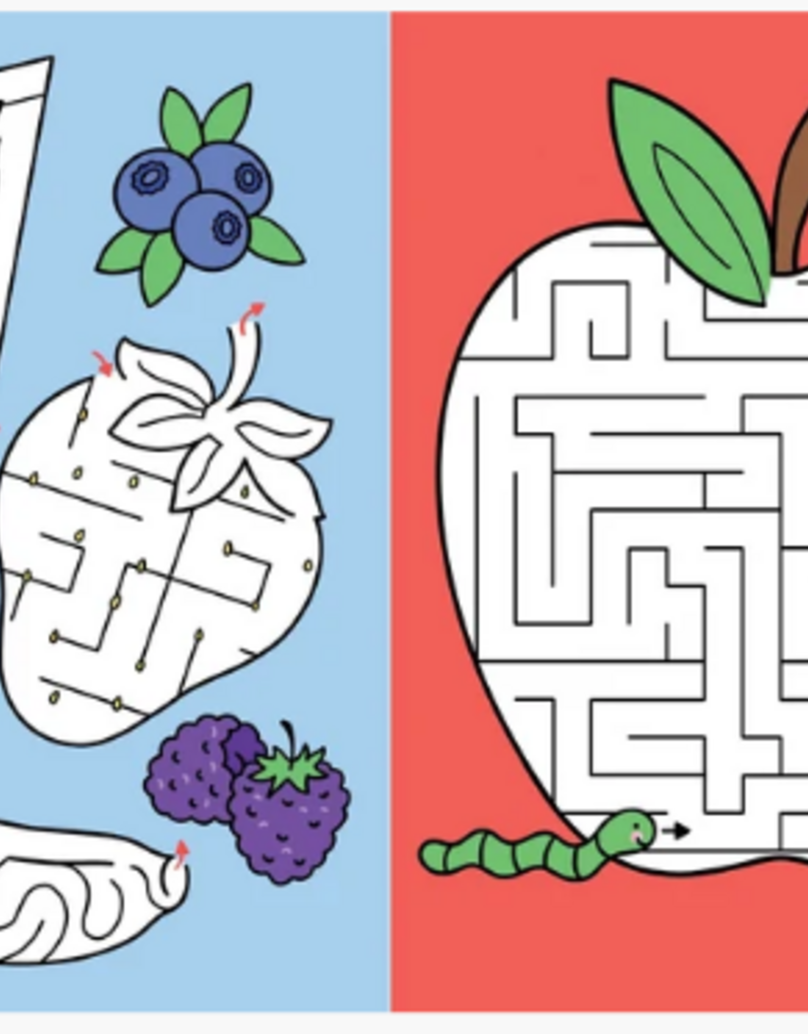 Peter Pauper Press Activity Book Challenging Mazes
