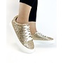 Dolce Casual Sneakers - Gold