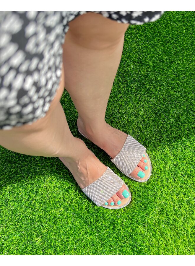 Lily Flat Sandals - Nude/ Silver Pu