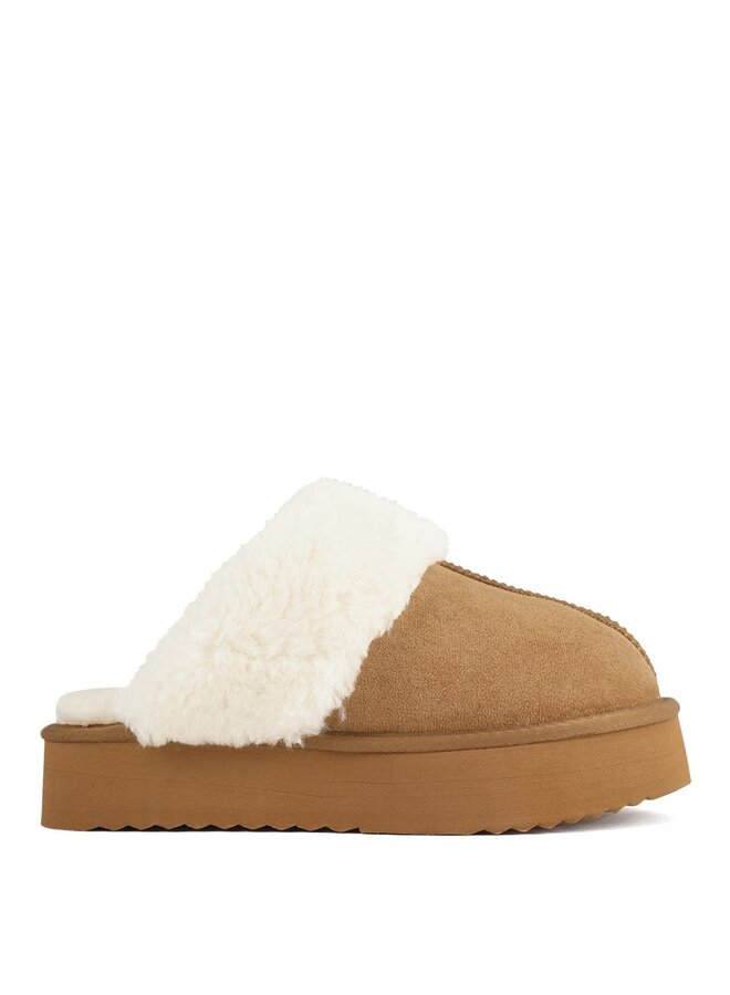 Darwin Casual Slippers - Tan