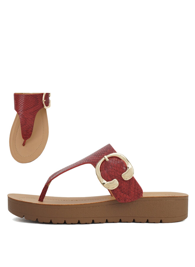 Robert Casual Sandals - Red Snake