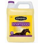 Corona Corona Shampoo Concentrate