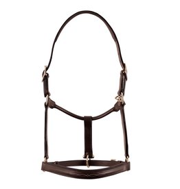 Bobbys English Bride Tack anglais neuf fantaisie roulé et cousu cheval noir