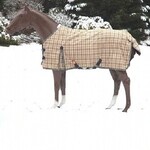 5/A Baker Turnout Blanket