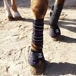 Majyk Equipe Sport Dressage Boot