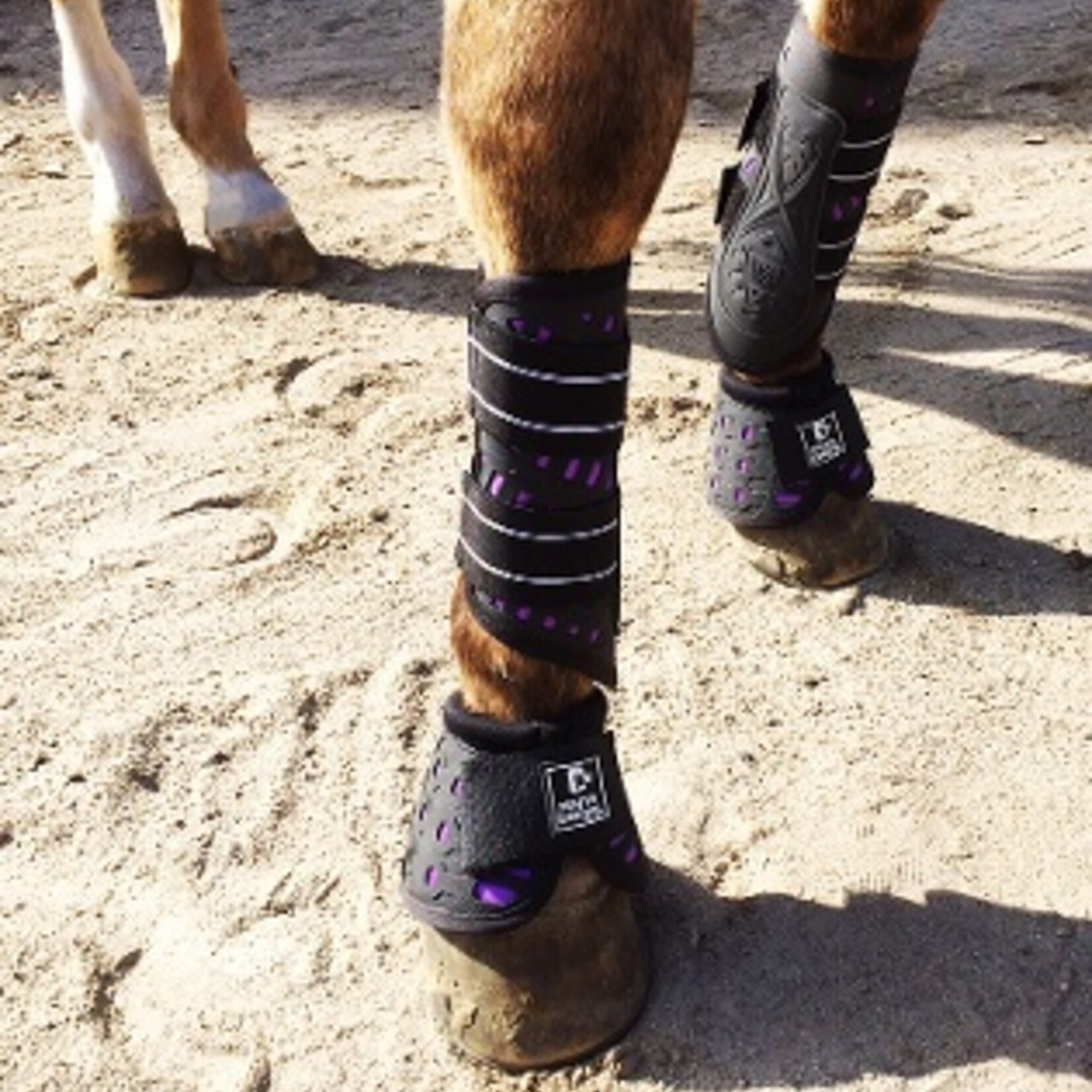 Majyk Equipe Sport Dressage Boot