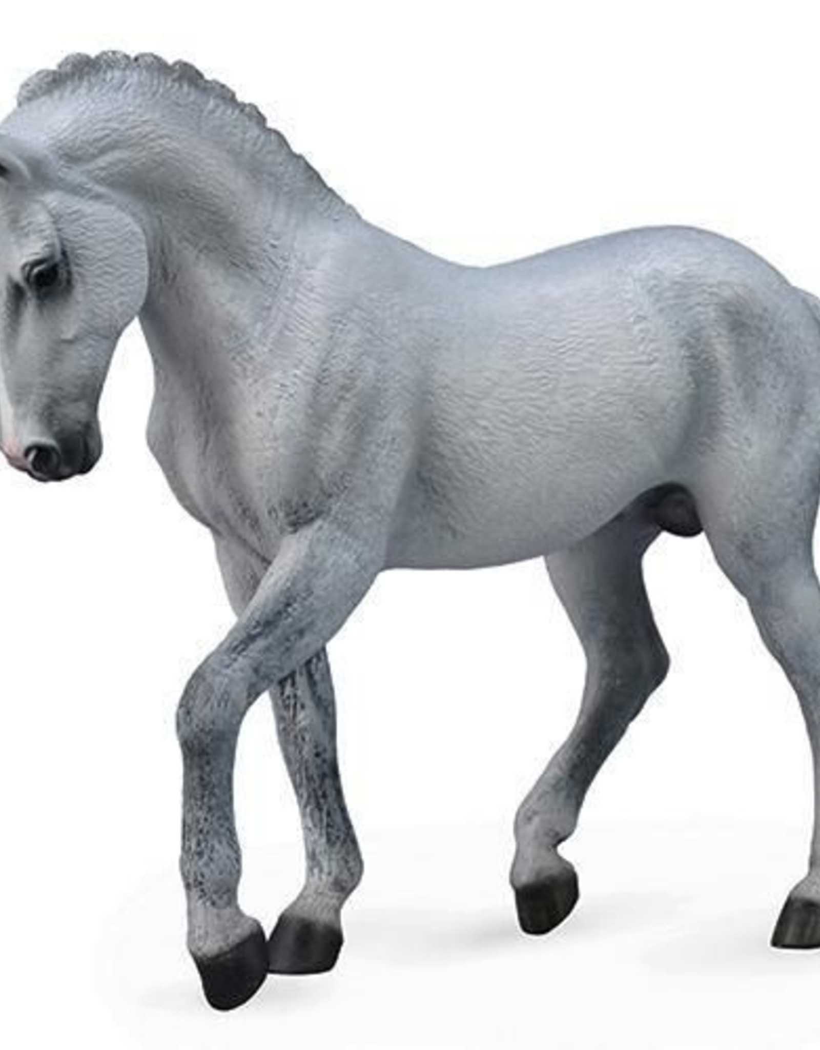 Breyer Grey Trakehner Stallion Calabasas Saddlery