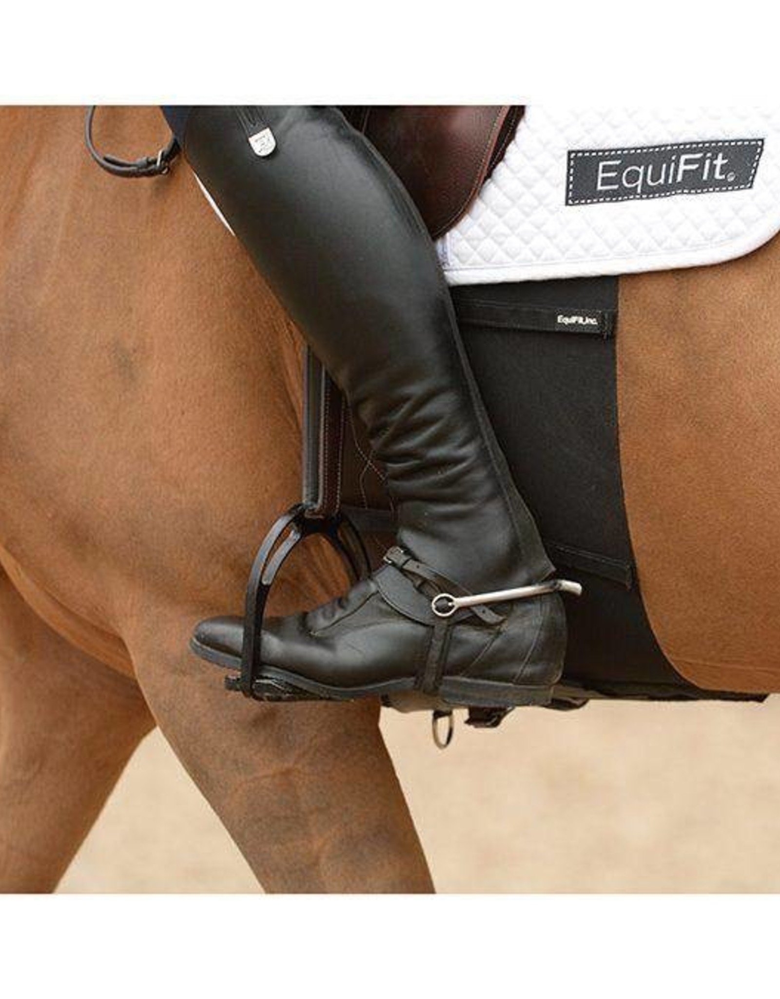 EquiFit Protective BellyBand