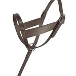 Lexington Leather Foal Halter