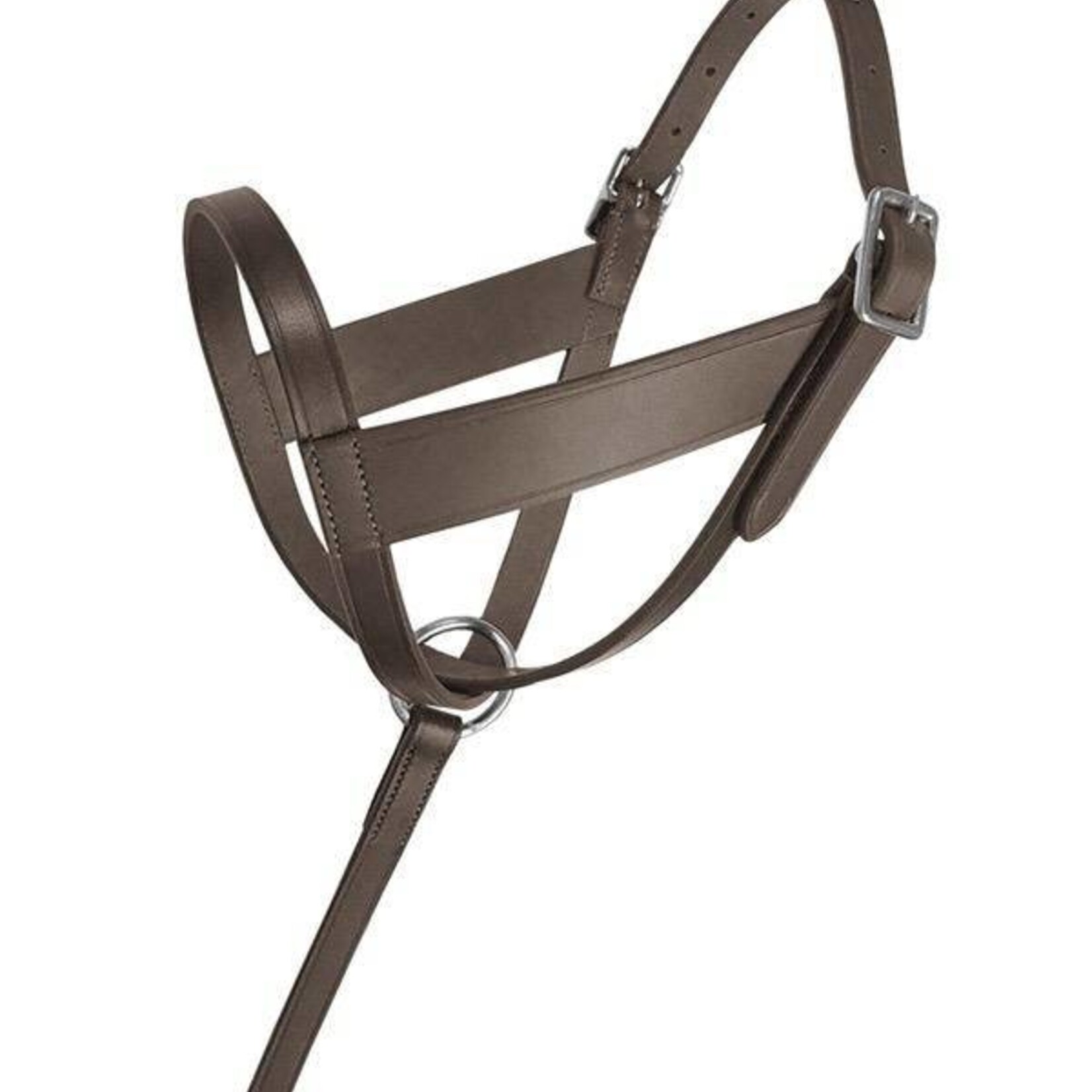 Lexington Leather Foal Halter