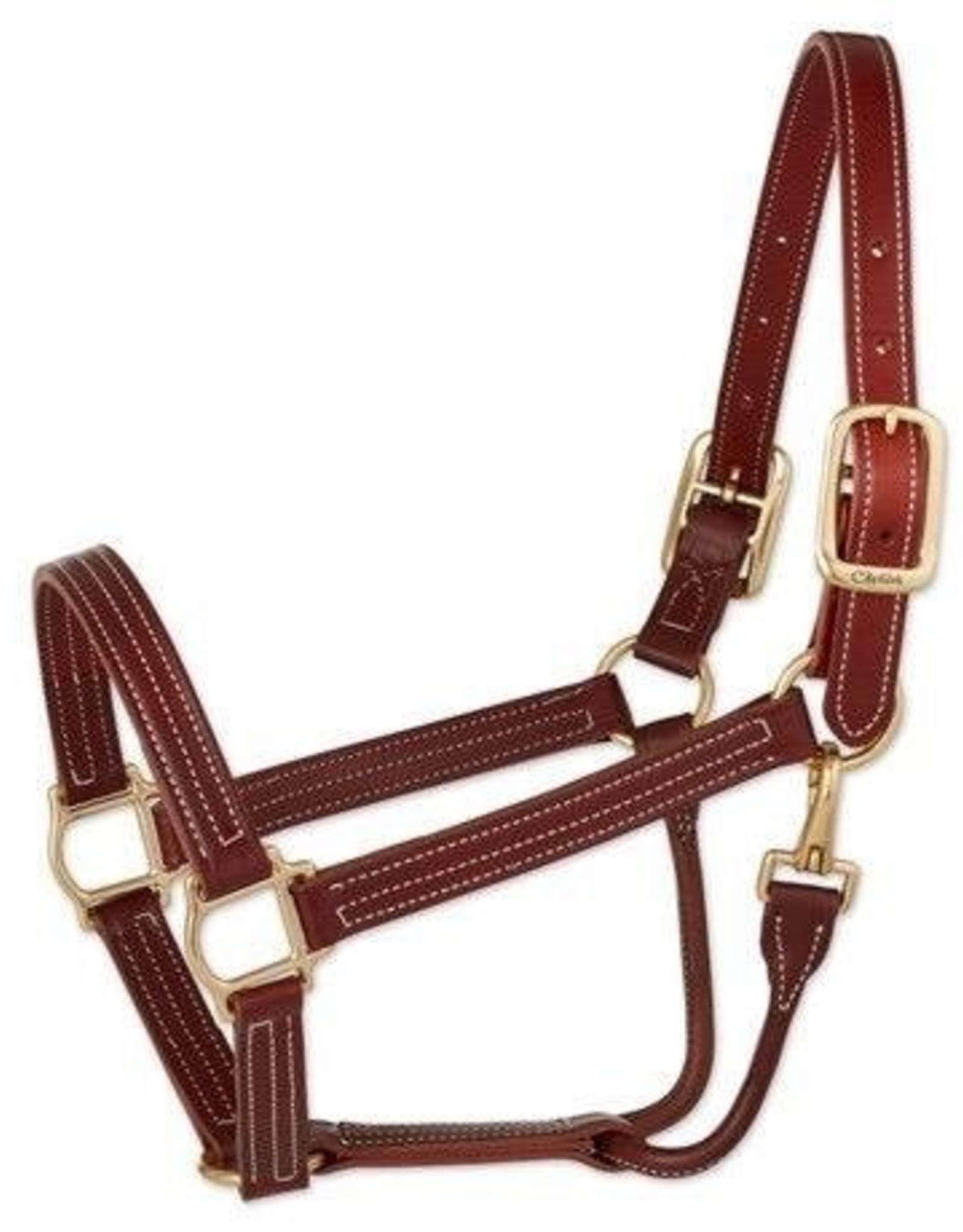 Walsh Triple Stitch British Halter