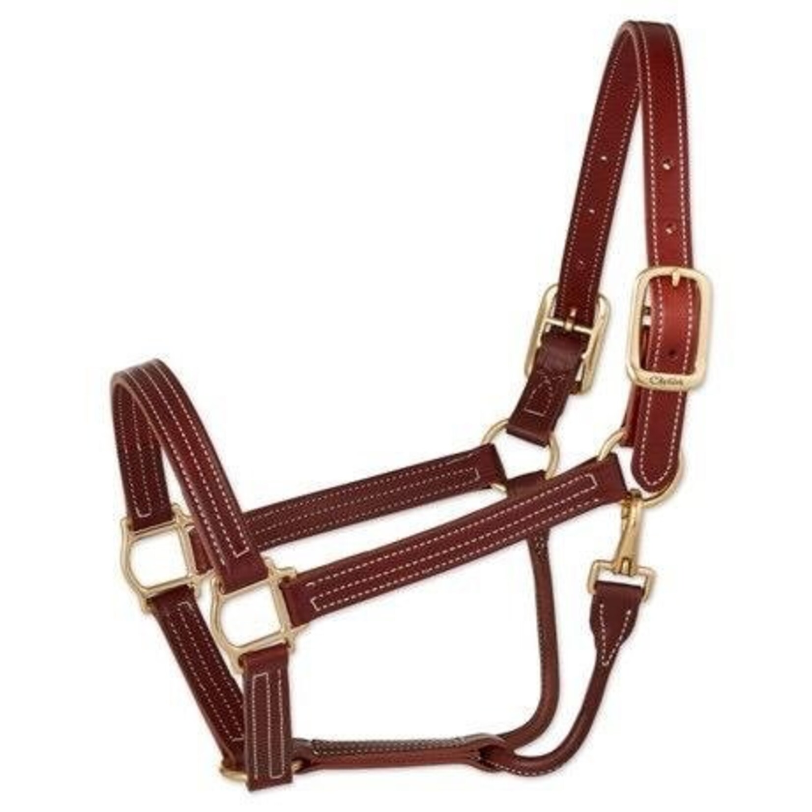 Walsh Triple Stitch British Halter