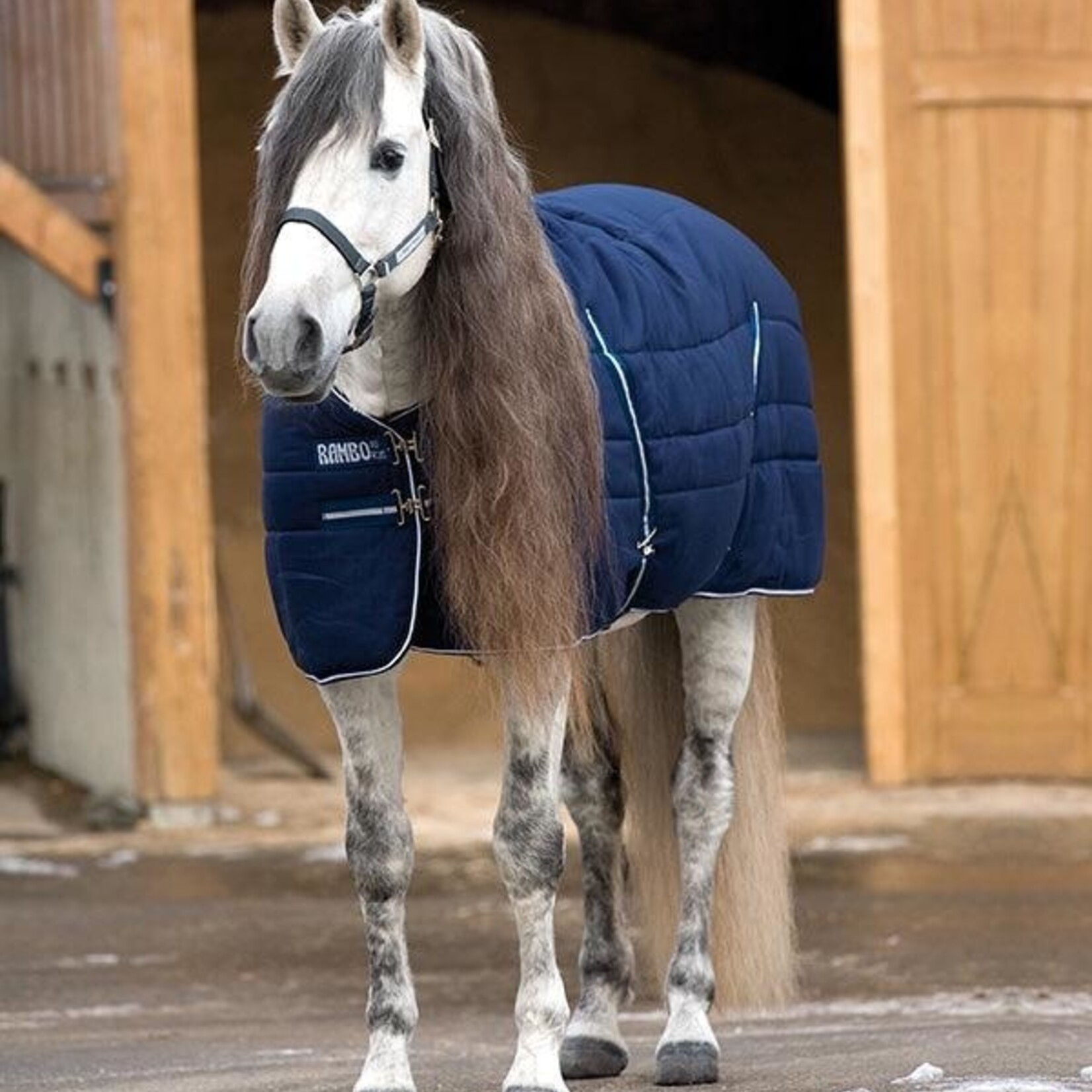 Rambo Stable Blanket