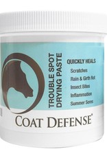 CoatDefense Coat Defense Trouble Spot Drying Paste - 24oz