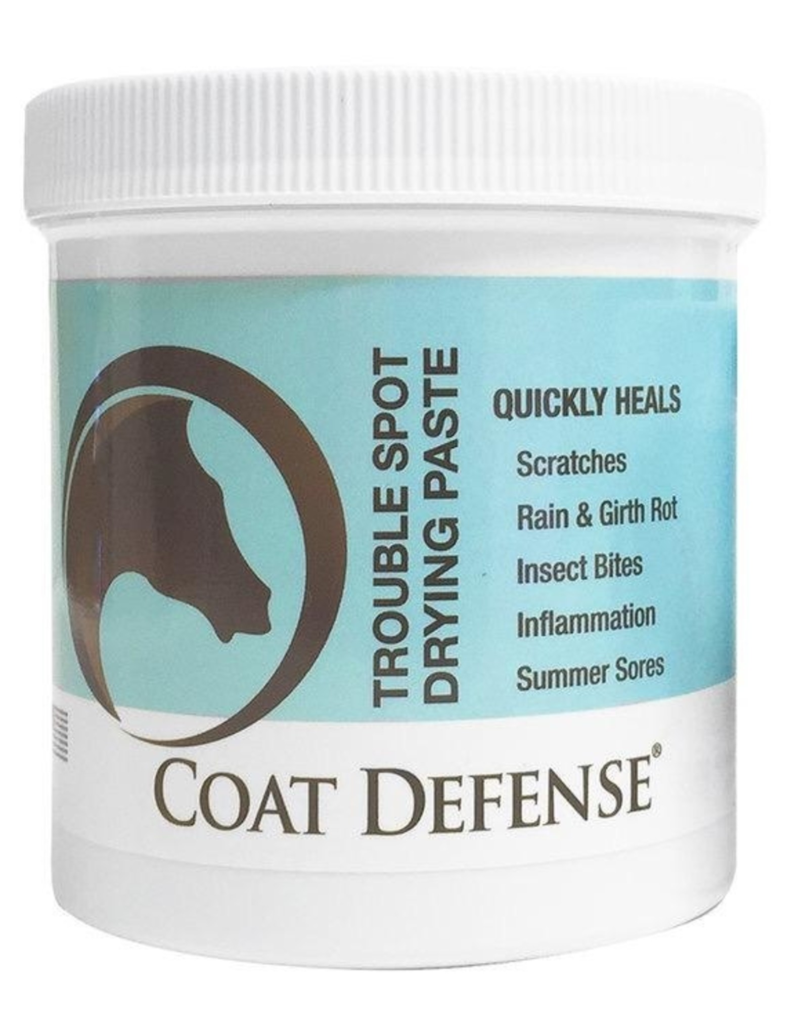 CoatDefense Coat Defense Trouble Spot Drying Paste - 24oz