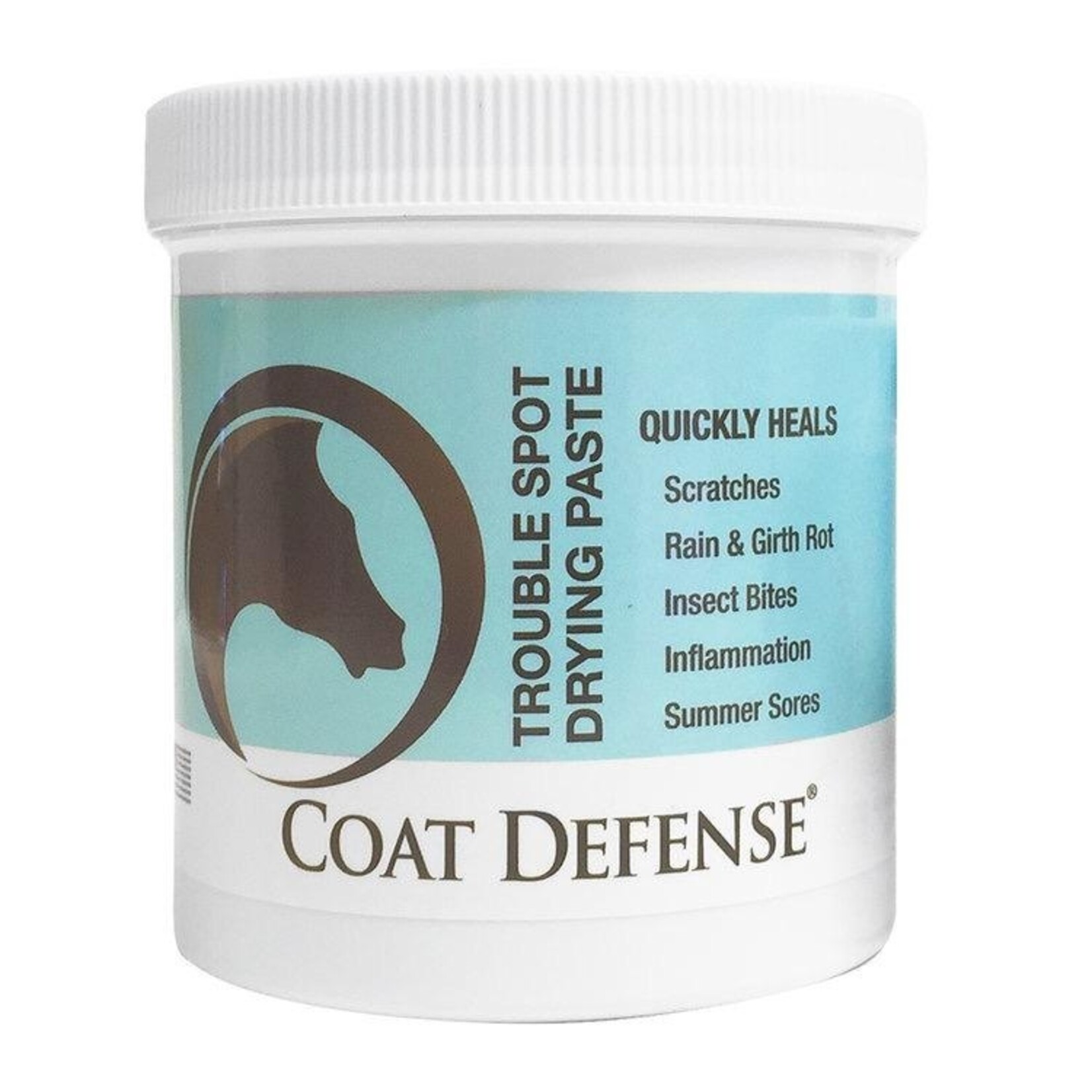 CoatDefense Coat Defense Trouble Spot Drying Paste - 24oz