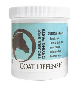 CoatDefense Coat Defense Trouble Spot Drying Paste - 24oz