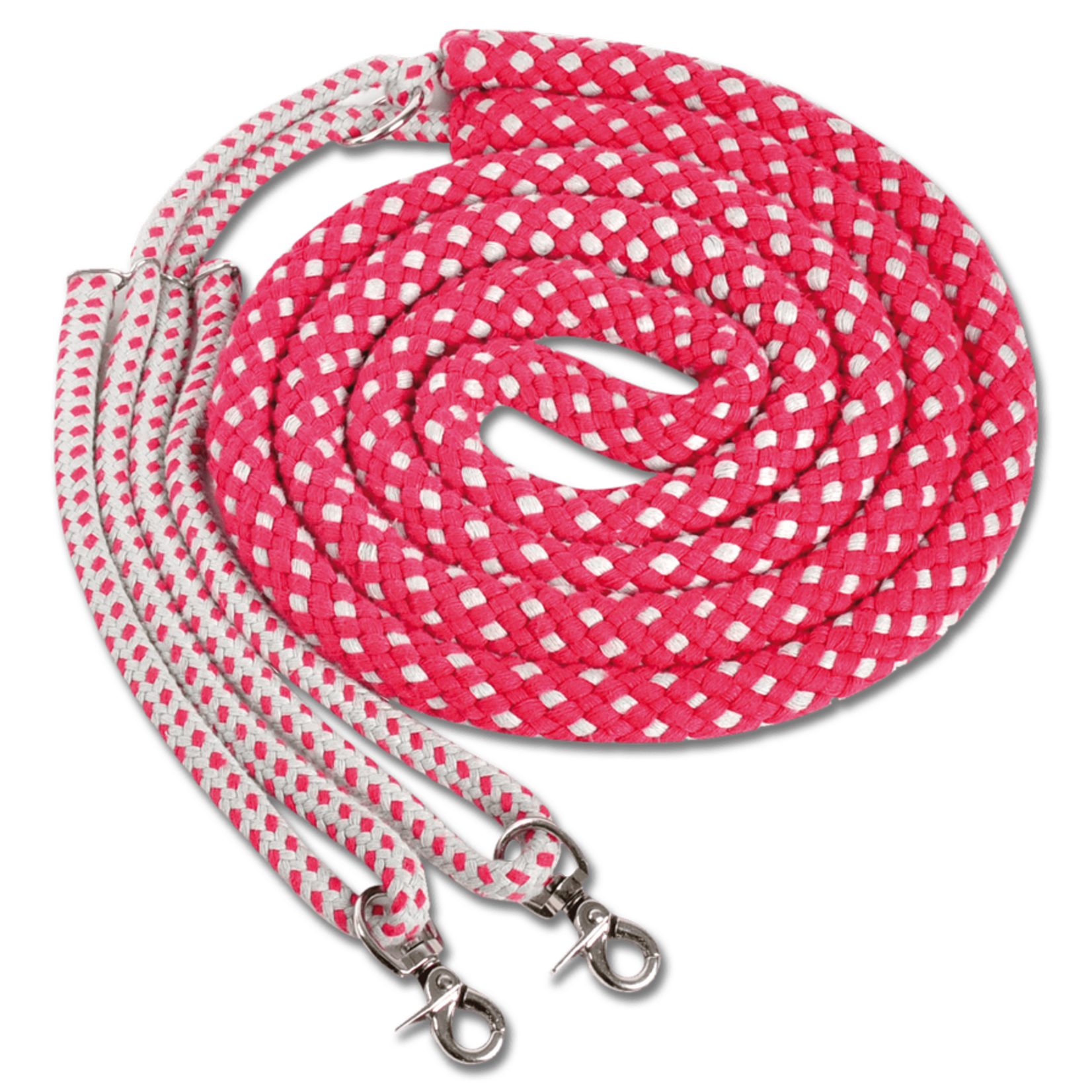 Waldhausen Lungeing Aid