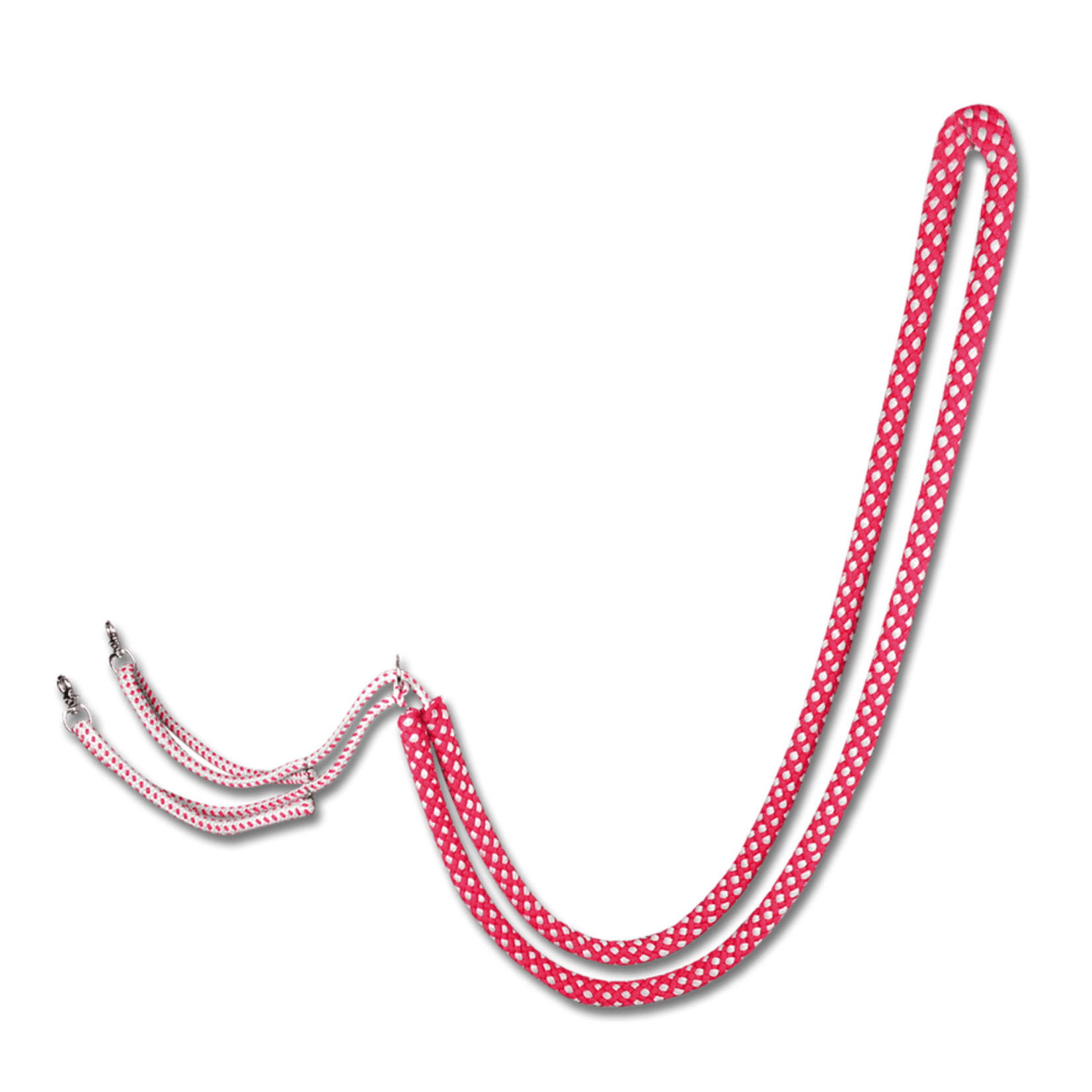 Waldhausen Lungeing Aid