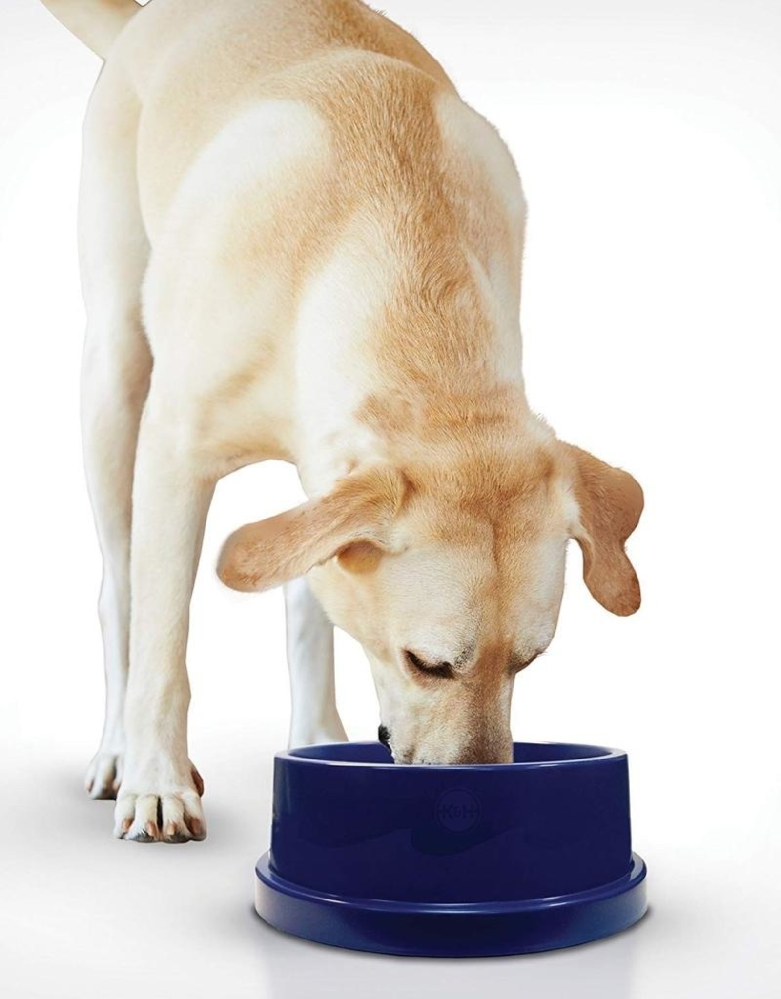 Veterinary Services Coolin' Dog Bowl