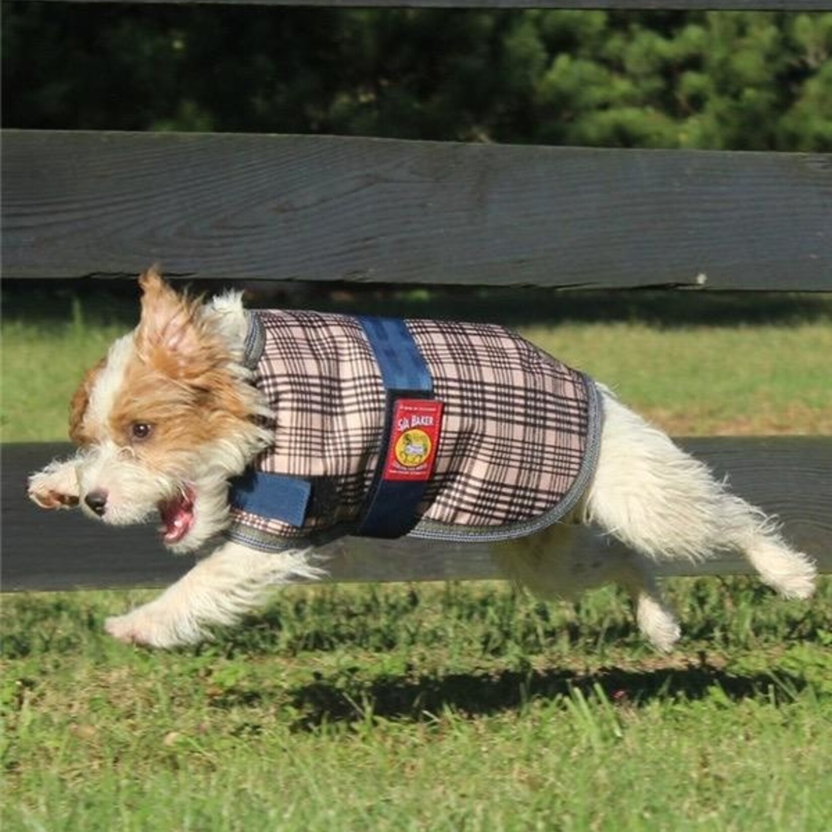 5/A Baker Dog Blanket