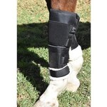Click Horse Click Knee Shields