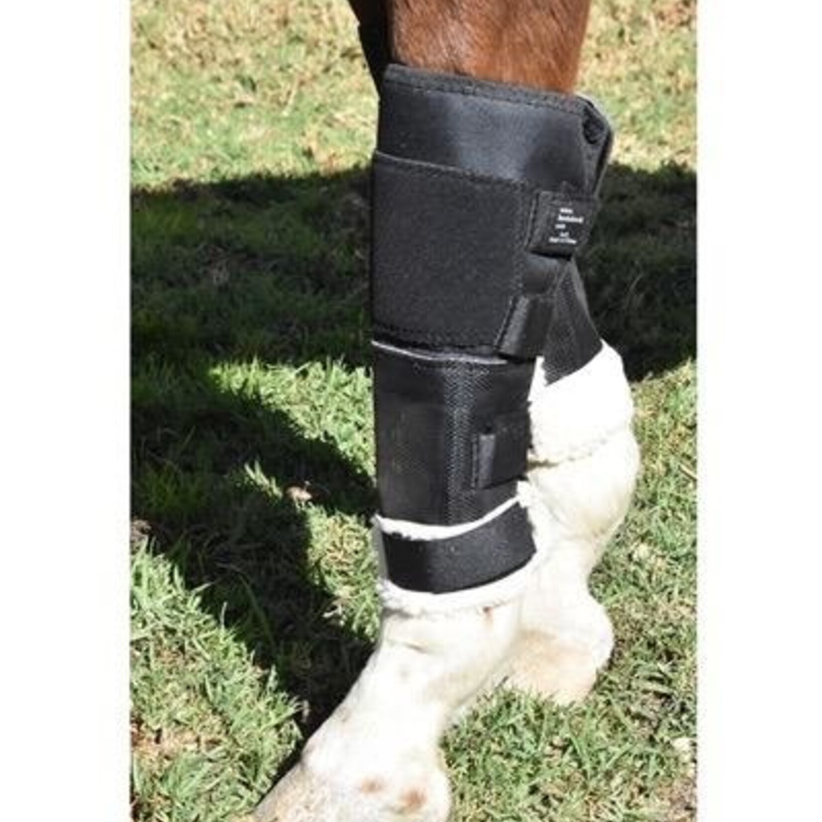Click Horse Click Knee Shields