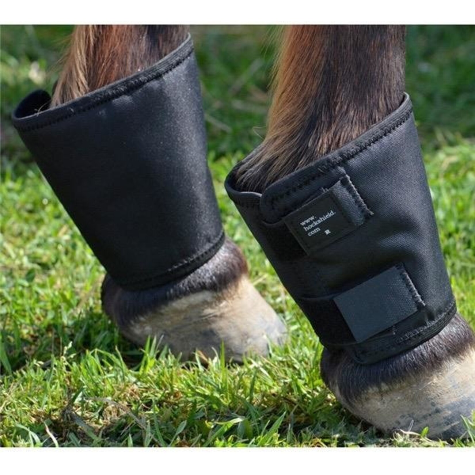 Click Horse Click Fetlock Shields