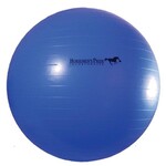 Jolly Mega Medium 30" Ball