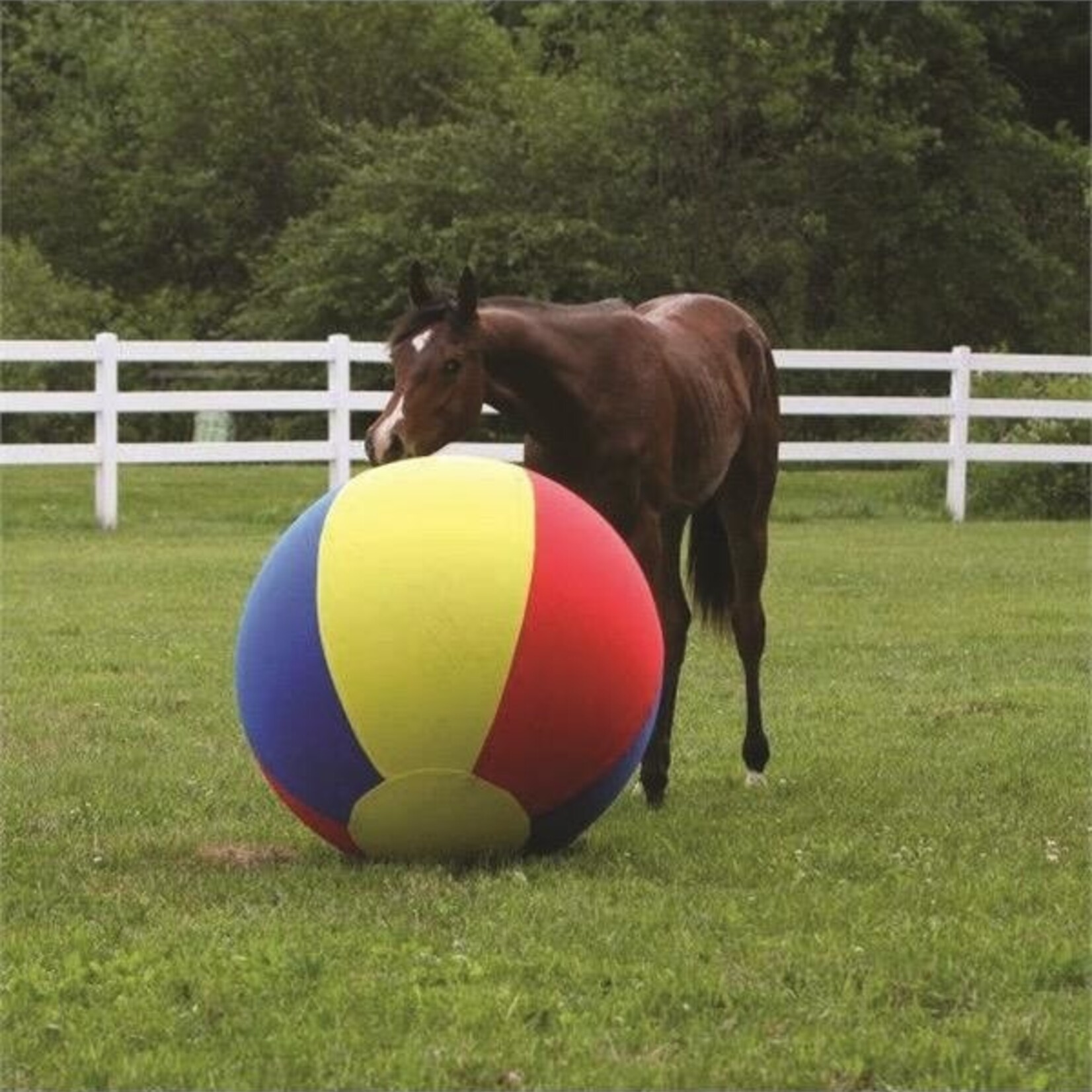 Jolly Mega Large 40" Beach Ball Cover