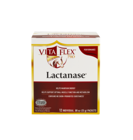 Vita Flex Vita Flex Lactanase Supplement - 25g