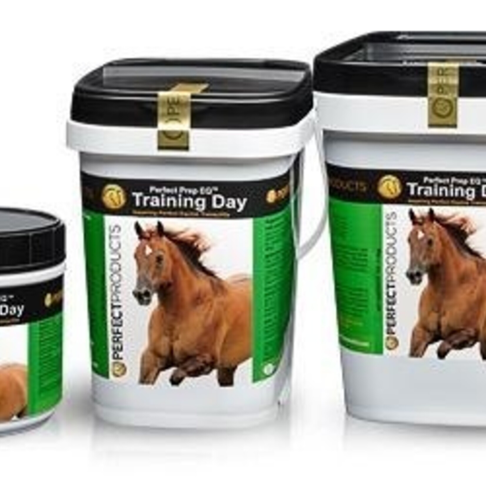 Perfect Prep EQ Training Day - 5lb