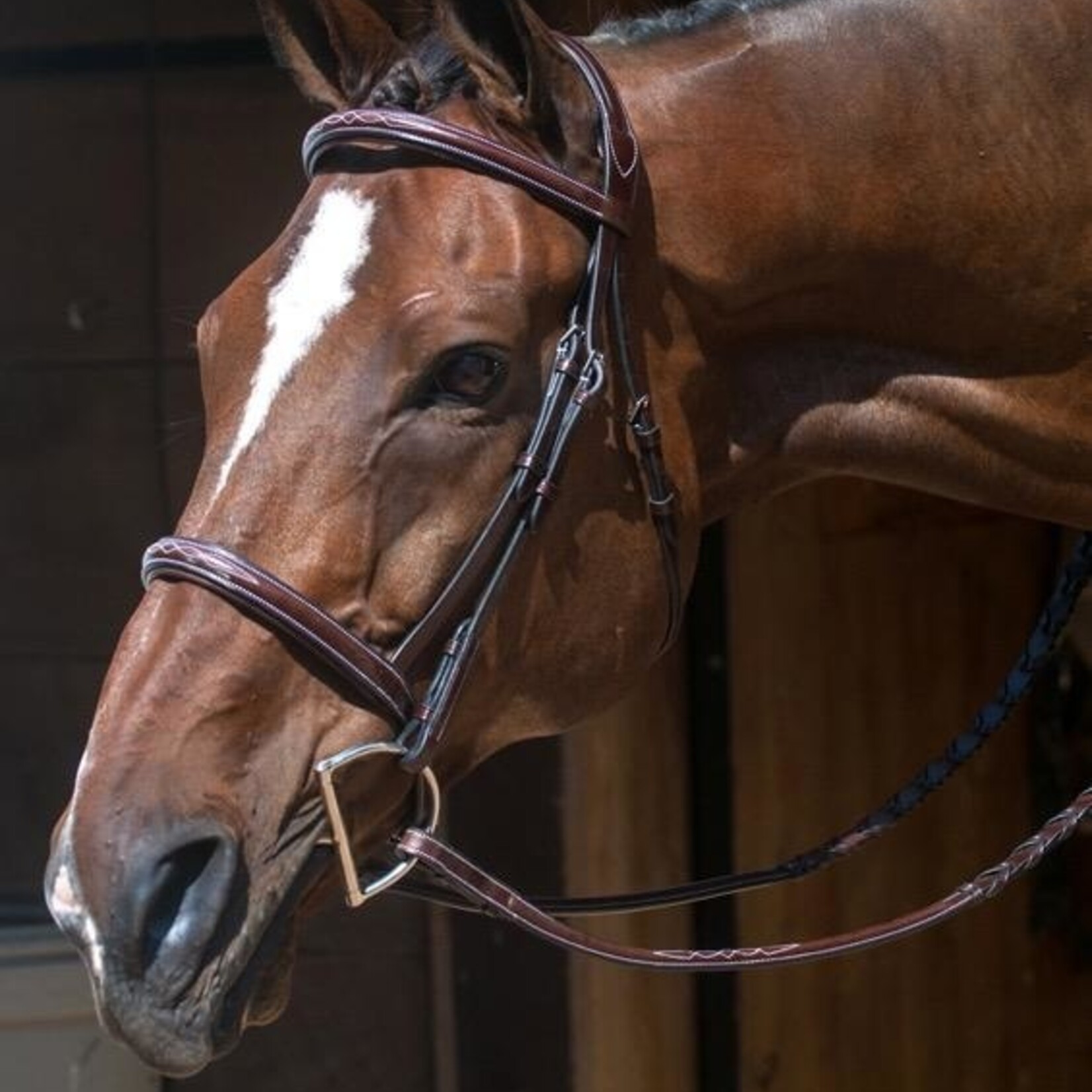 Nunn Finer Florence Bridle