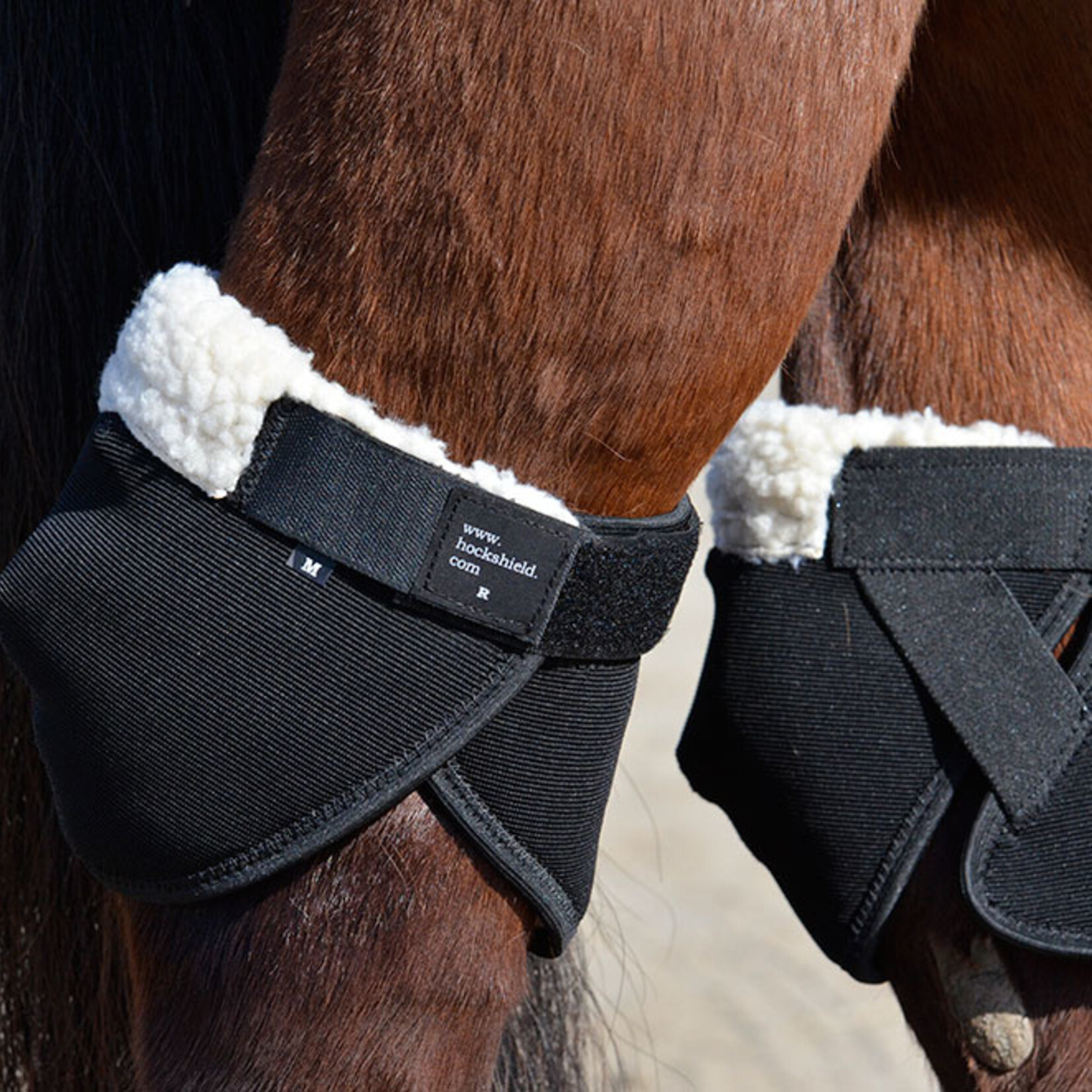 Click Horse Hock Shield Ultra