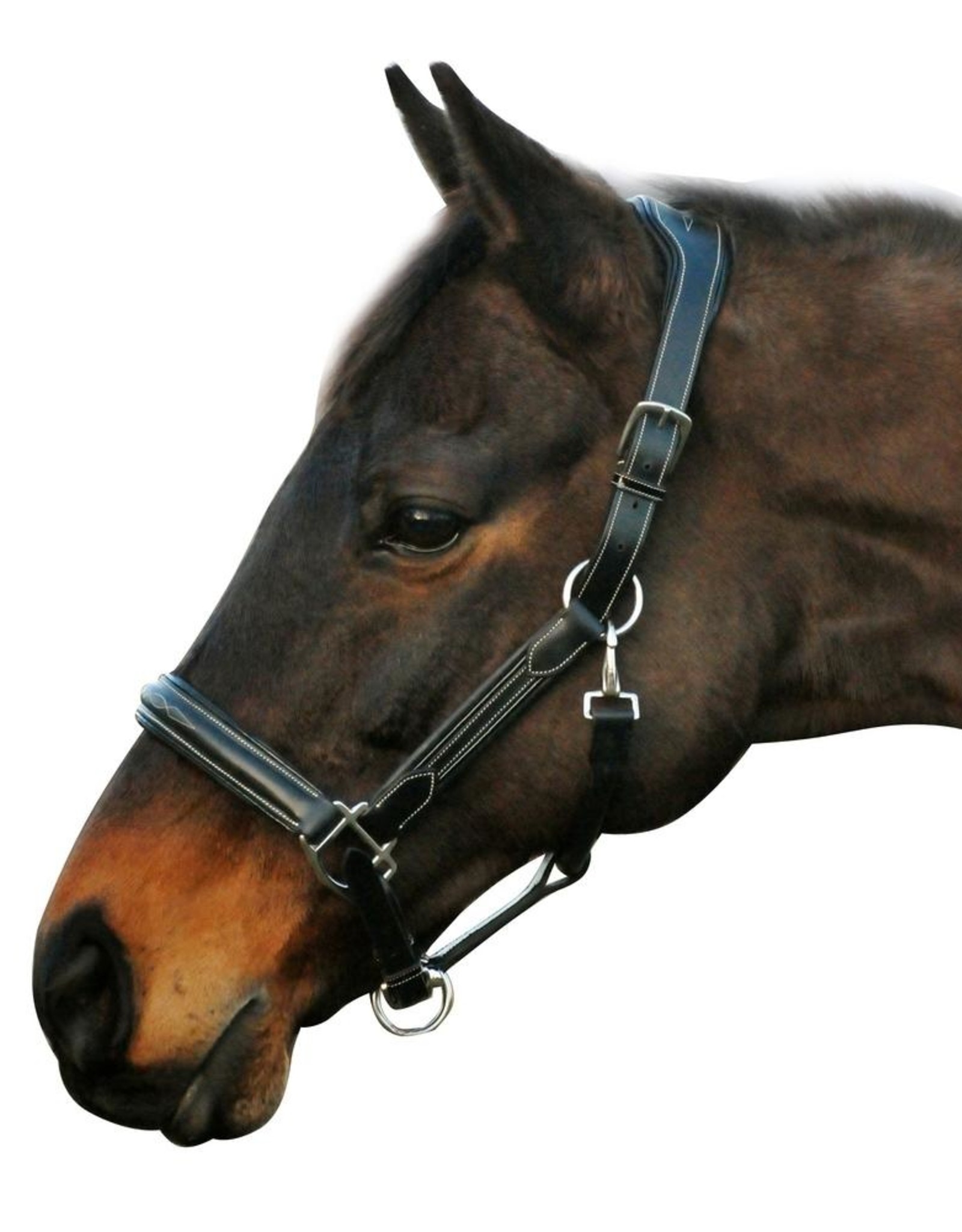 Henri De Rivel Henri de Rivel Stress Free Fancy Stitched Padded Halter