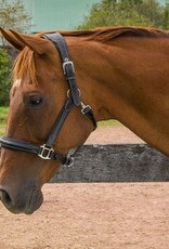 Henri De Rivel Henri de Rivel Stress Free Fancy Stitched Padded Halter