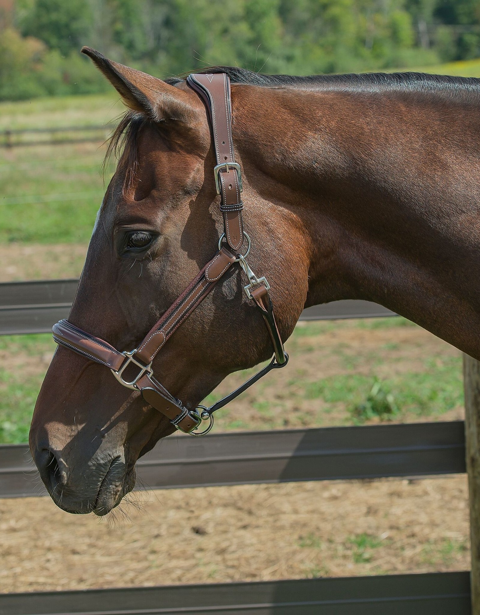 Henri De Rivel Henri de Rivel Stress Free Fancy Stitched Padded Halter