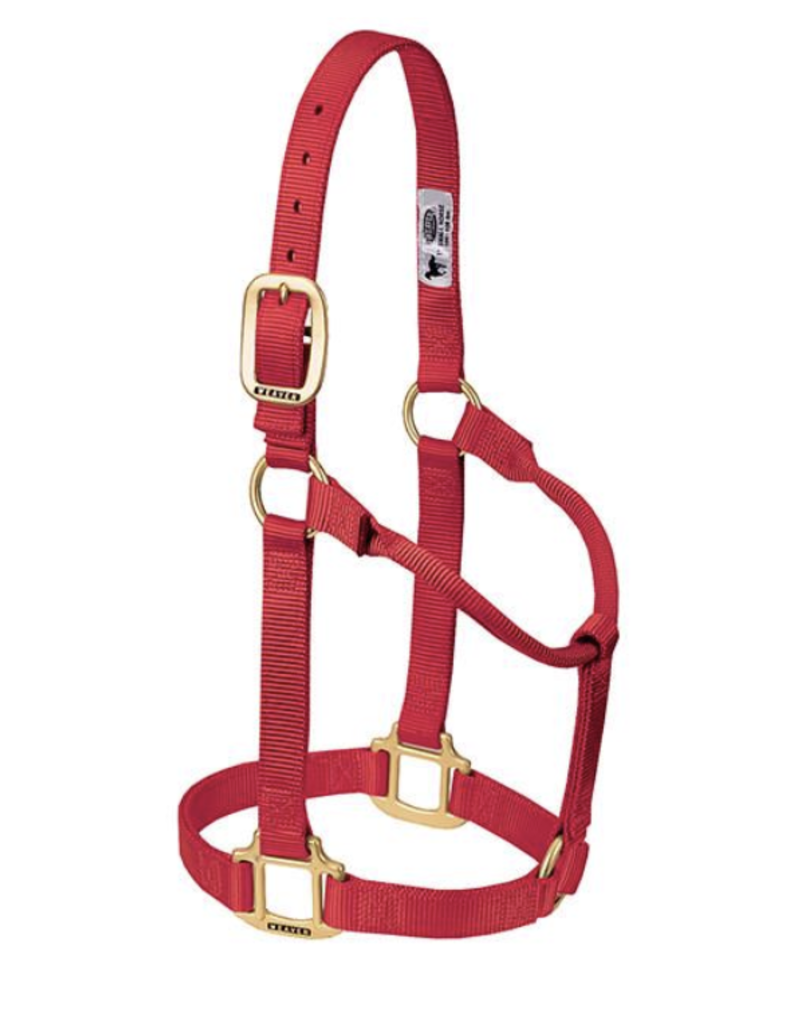 Resistance Plain Nylon Adjustable Rope Halter with Matching 6ft Lead